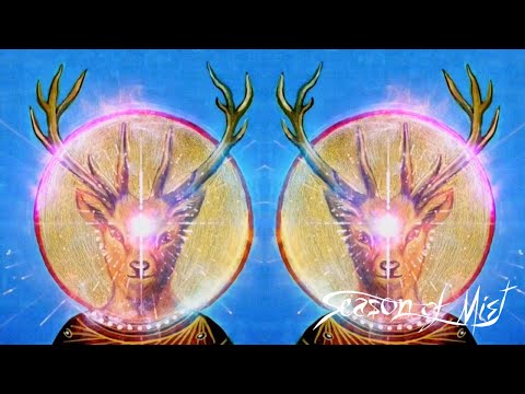 Video thumbnail for Sirály