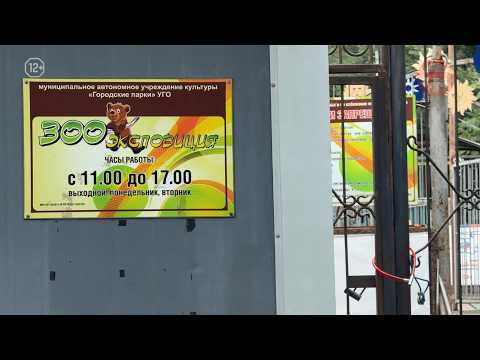 🐻 Трагедия в зооэкспозиции Уссурийска. На сотрудницу Веру Блищ напал медведь