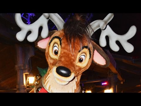 Santa's Reindeer Meet Us at Mickey's Very Merry Christmas Party 2015, Magic Kingdom, Disney