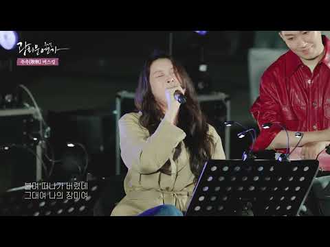 휘파람이라 쓰고 태풍이라 노래한 #차지연 #휘파람 #추추버스킹 하이라이트