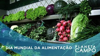 1 bilhão de pessoas depende da pecuária: carne à pasto é melhor opção nutricional