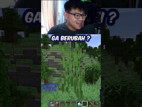 The Most Realistic Grass Minecraft Is So Insane