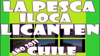 preview picture of video 'Roca el Peñón La Pesca Iloca Séptima Región de Chile'