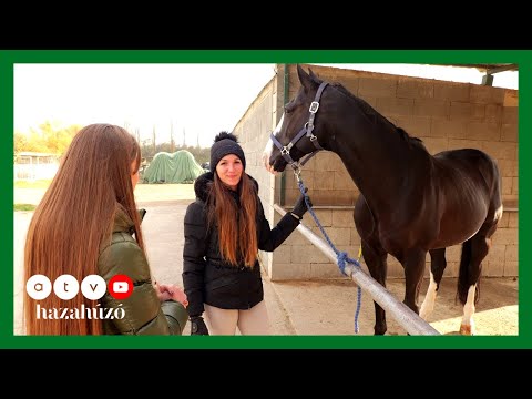 HAZAHÚZÓ – Tárnok felfedezése