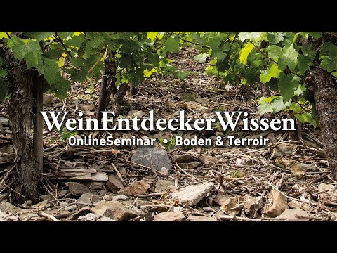 Boden & Terroir – WeinEntdeckerWissen OnlineSeminar