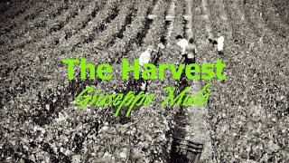 La Vendemmia (The Harvest) - Italian Symphonic Poem | Classical Music