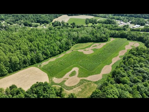 Wildlife Habitat Improvement: Project 17 Update - The Management Advantage