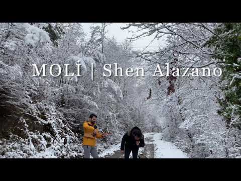 Moli | Shen Alazano