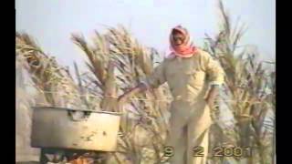 فيديو قصير لمراسم الطباخ في محرم