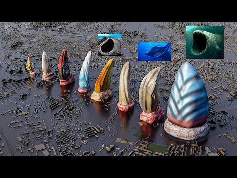 Bloop vs El Gran Maja 🦷 Monster Teeth Size Comparison 👹💥