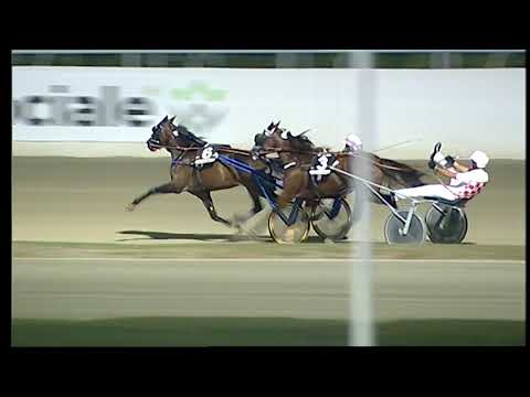 Napoli Trotto 23/07/2021 - 6ª corsa