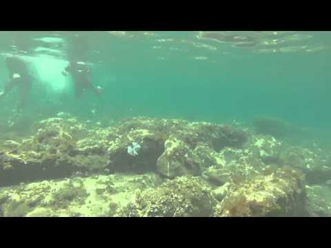 Fondo de la Cala del Francés