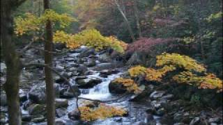 Never-Get-Over-You.wmv