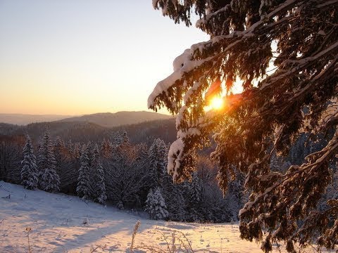 Winter in the Carpathians   Relaxation Video & Soothing Music  Carpathian Mountains in Ukraine