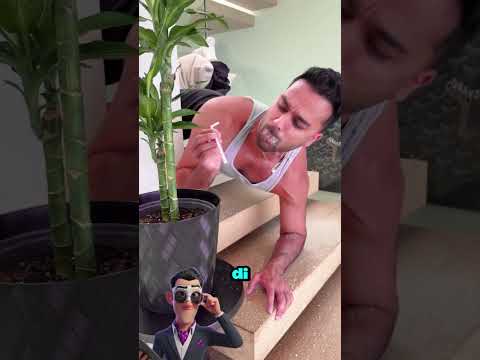 Non andare mai a dormire senza bere ACQUA! 😂