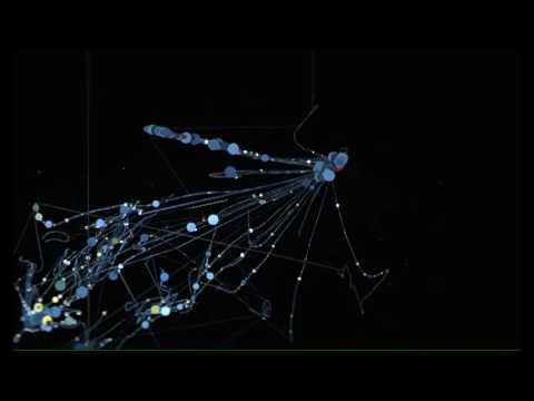Cheju - Turtlenecksyndrome (Unofficial Video)
