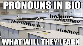 r/Surrealmemes | finally, pronouns in bio