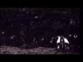 The Mountain Goats - If You See Light