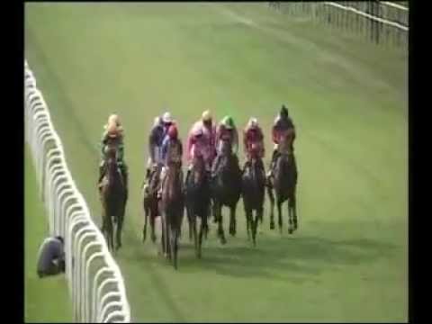 2015.07.19  Slovenské derby - Touch of Genius