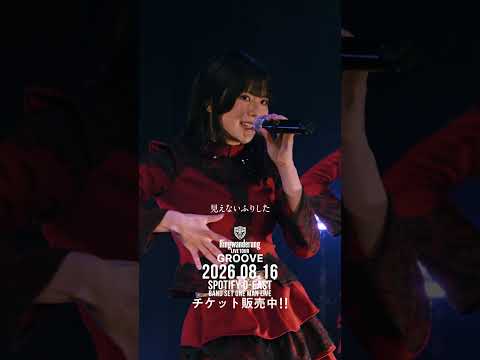 ANTiTHESiS / Ringwanderung ONE MAN LIVE TOUR 2026.8.16 O-EAST BAND SET #idol #アイドル