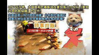 時事炒飯- 8月7日沙特、土耳其和巴基斯坦在麥加簽了一份叫《麥加共同防務協議》的文件! 究竟這是一份?
