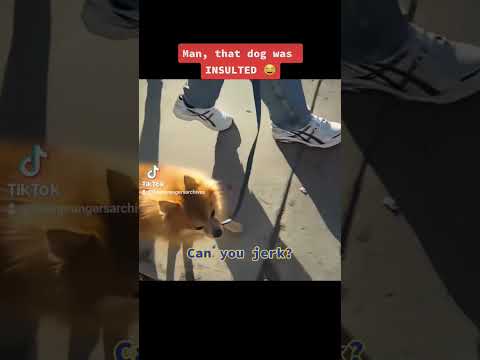 That dog was MAD 💀💀💀