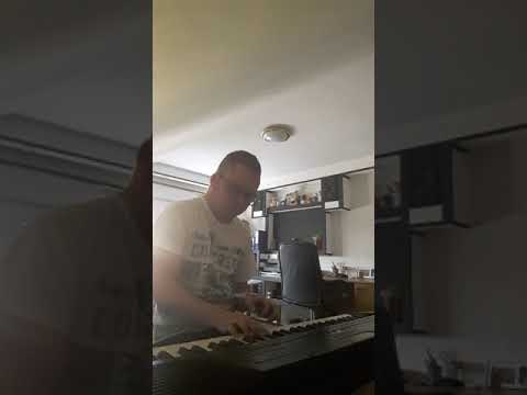 Halid Bešlić- Taman je (cover)