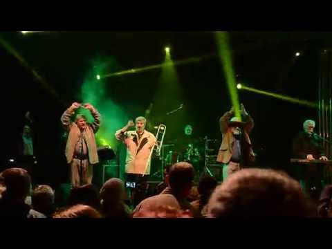 Apostol : Okosabban kéne élni - 2015 Siófoki Pálinkafesztivál full HD