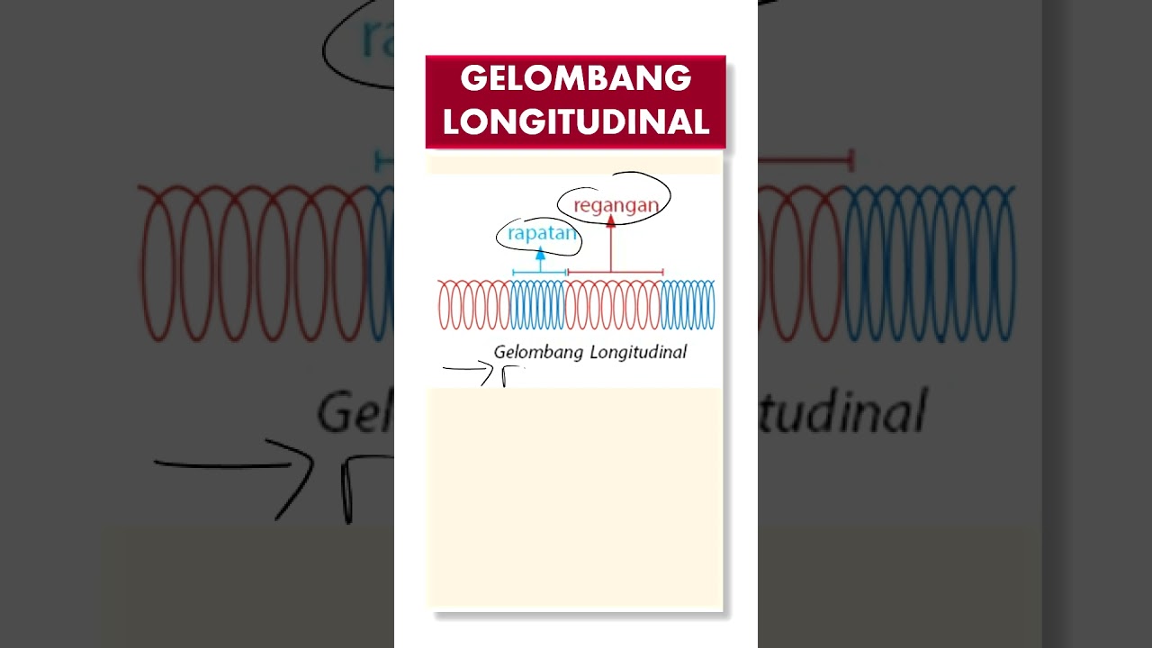 #FISIKA GAMBAR GELOMBANG LONGITUDINAL