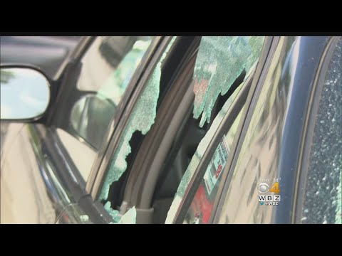 Worcester Shooting
