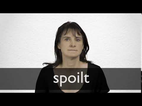 spoilt spoke spun spent definition meaning dictionary english