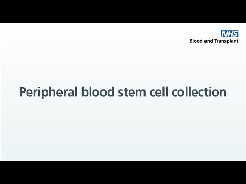 About peripheral blood stem cell collection