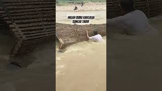 Download lagu Inilah bubu raksasa lubuk larangan sungai #tabir #merangin #jambi mp3