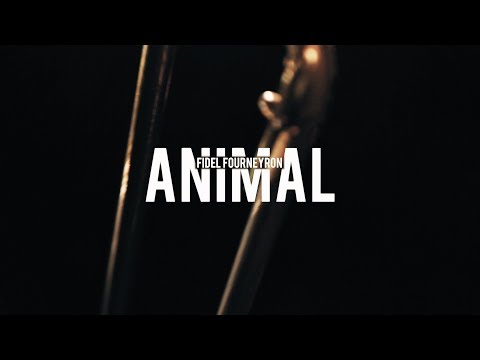 Fidel Fourneyron - Animal : Singe