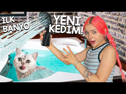 YENİ KEDİMİN İLK  BANYOSUNU YAPTIRDIM ! *Çok Tatlı* 3 KEDİLİ EV