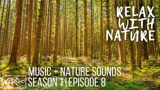 Beautiful Nature Video of Most Stunning Landscapes | Relax with Nature + Music & Real Sounds #8
