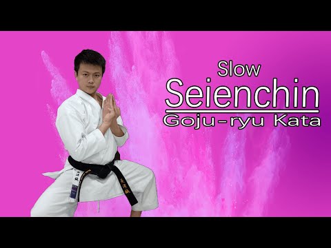 Goju-ryu Kata Seienchin （Slow）