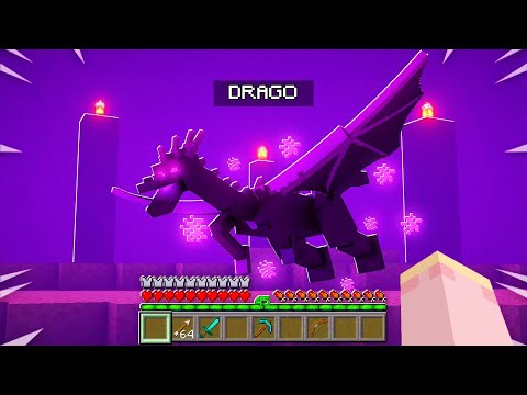 MINECRAFT MA CON I DRAGHI DI FUOCO!