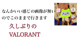 【VARORANT】練習