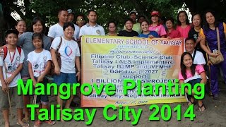 preview picture of video 'Mangrove replanting - Talisay City, Negros Occidental, the Philippines'