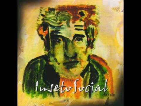 5 Pila - Inseto Social