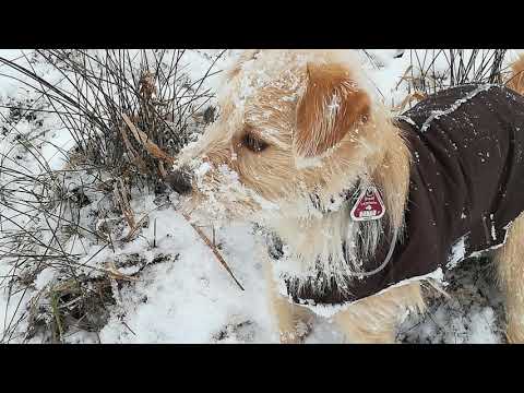 Der erste Schnee macht so viel Spaß