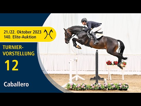140th Elite-Auction - Oct. 21/22 - No. 12 Caballero by Comme il faut NRW - Quintender - Clip 3