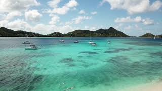 BBQ à Sandy Island au sud des Grenadines
