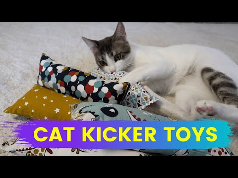 I made kicker toys for my cat 🐱 Furry Tails