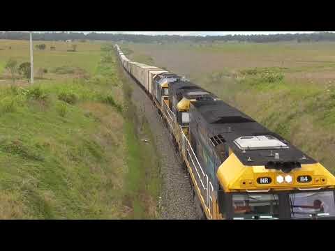 Pacific National’s NR84,NR19 and 8166 guide 7SB1 through Kagaru towards Acacia ridge 5/12/21