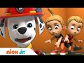 PAW Patrol Rescues Double Trouble Twins W Chase Marshall Skye Nick Jr