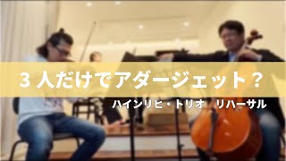 Download lagu 【ハインリヒ・トリオ】アダージェット初見大会 mp3