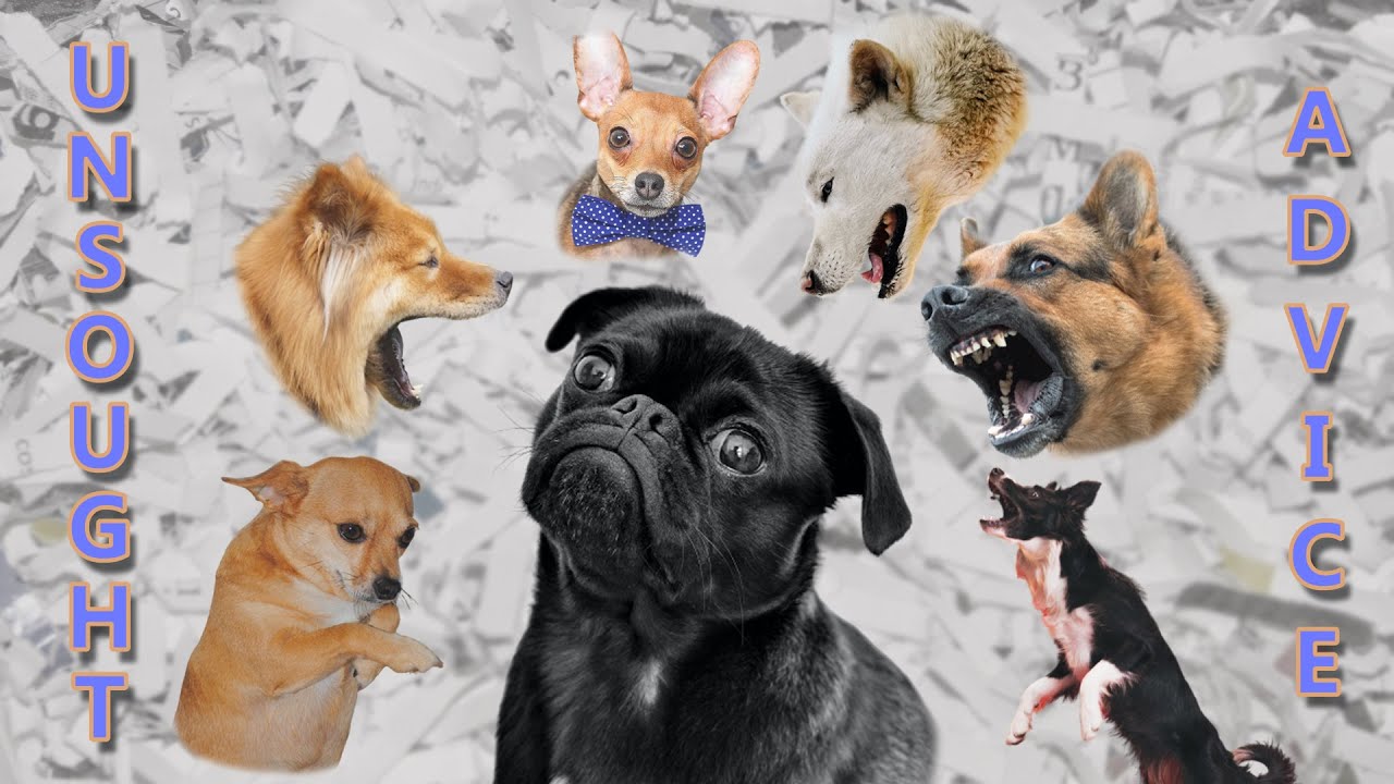 Unsought Advice and Uninvited Feedback