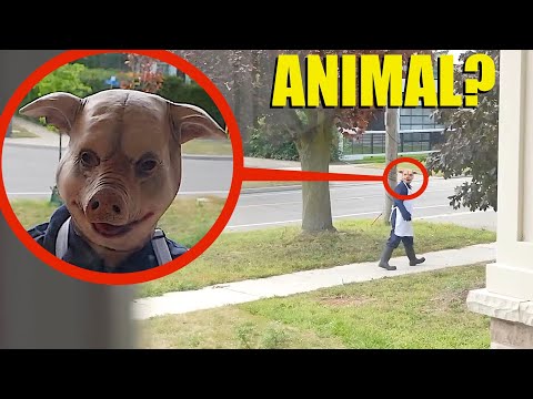 The Animal Cult (2023) Full Movie (4K Ultra HD)